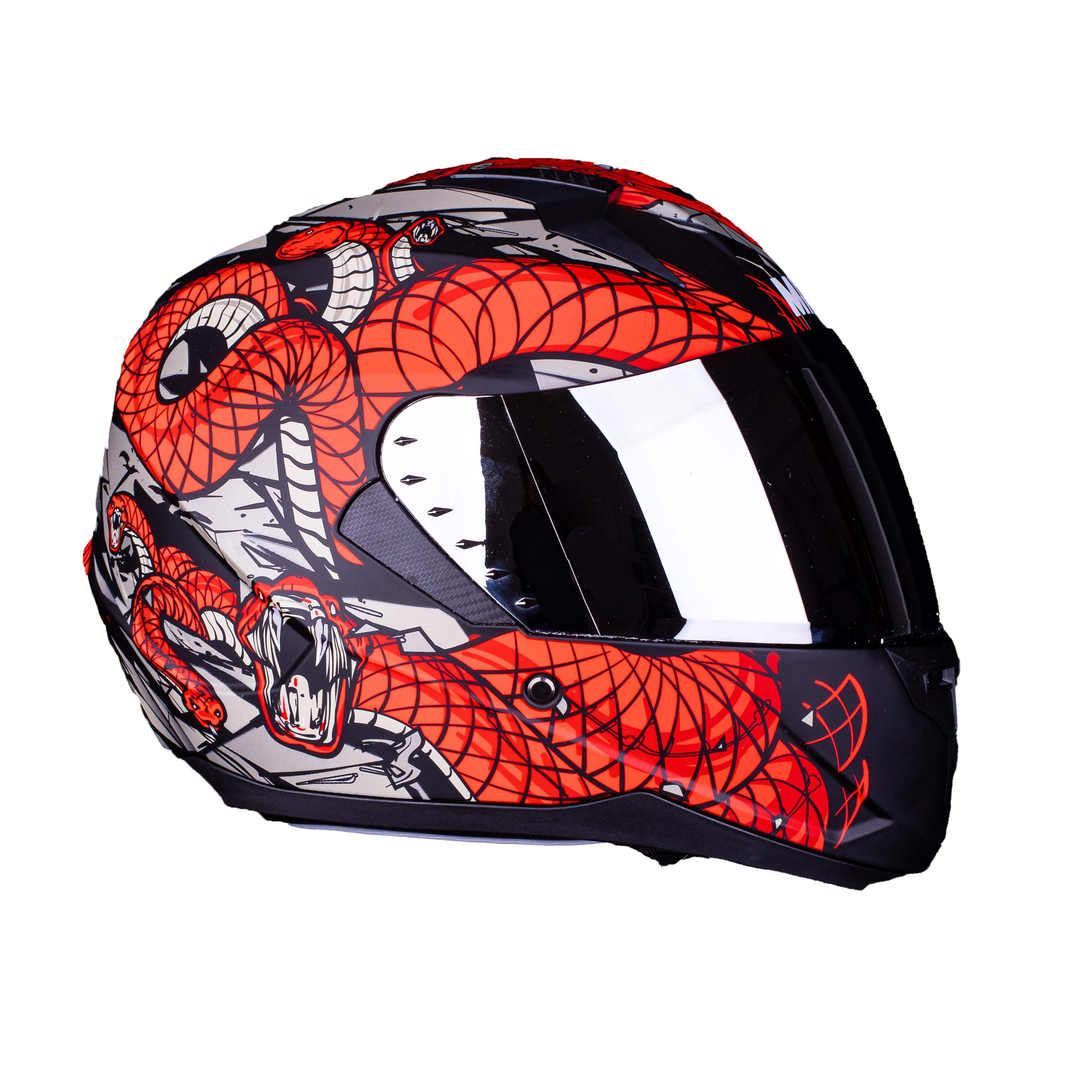 snake4.jpg