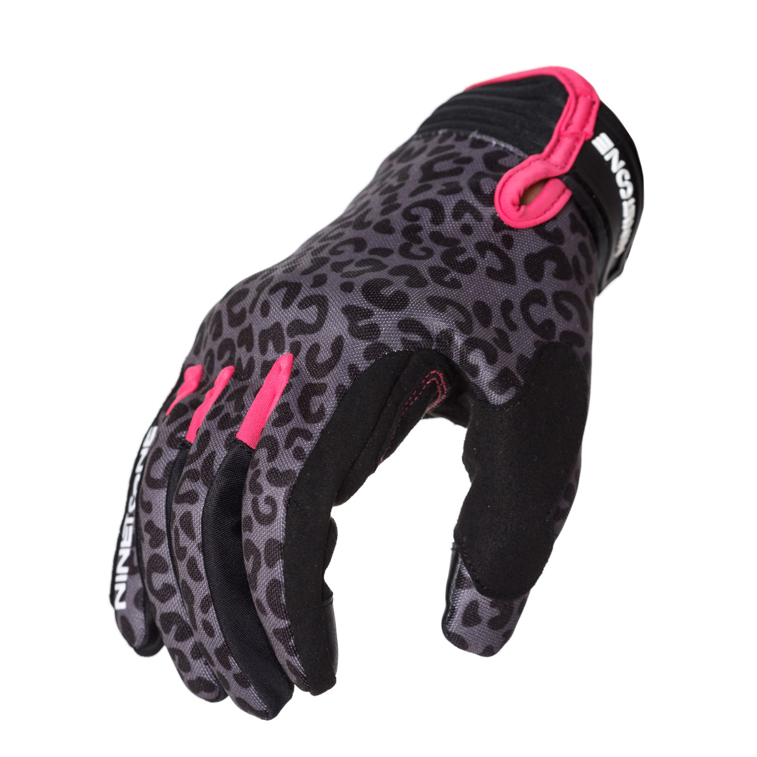 Leopard 3.jpg